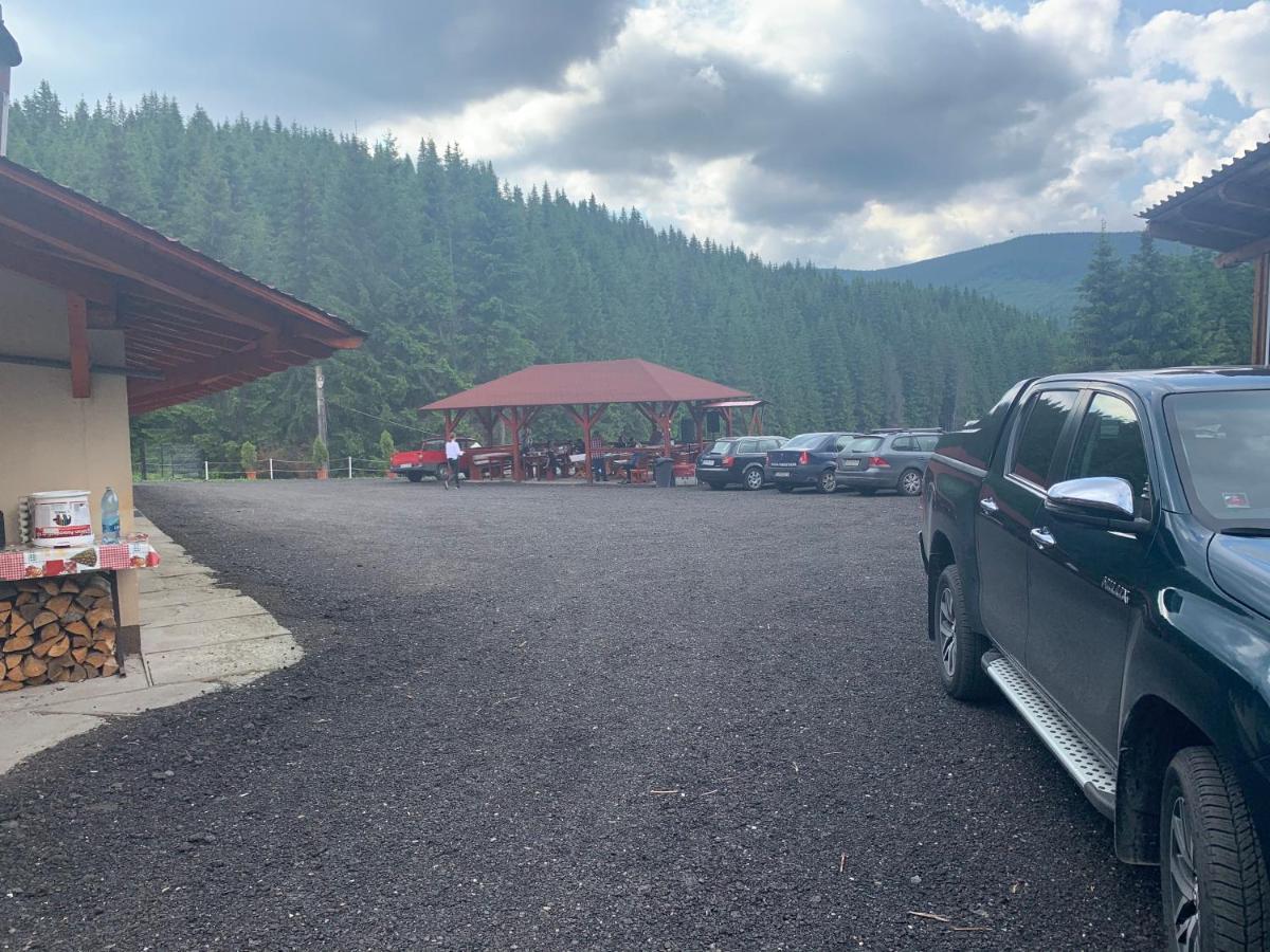 Cabana Cerbul-Oasa-Transalpina Ciban Exterior photo
