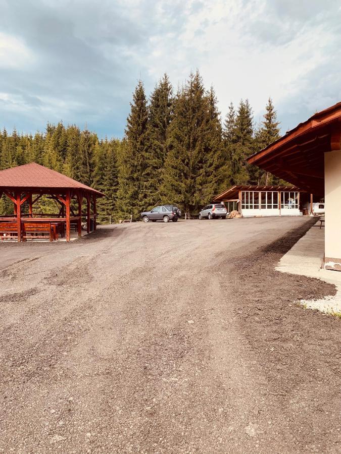 Cabana Cerbul-Oasa-Transalpina Ciban Exterior photo