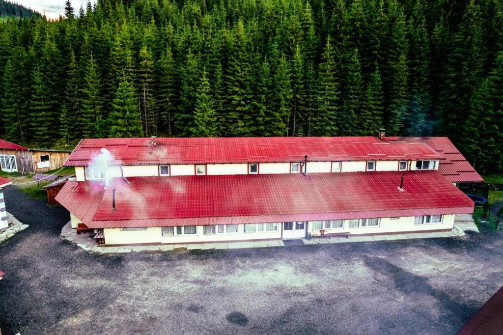 Cabana Cerbul-Oasa-Transalpina Ciban Exterior photo