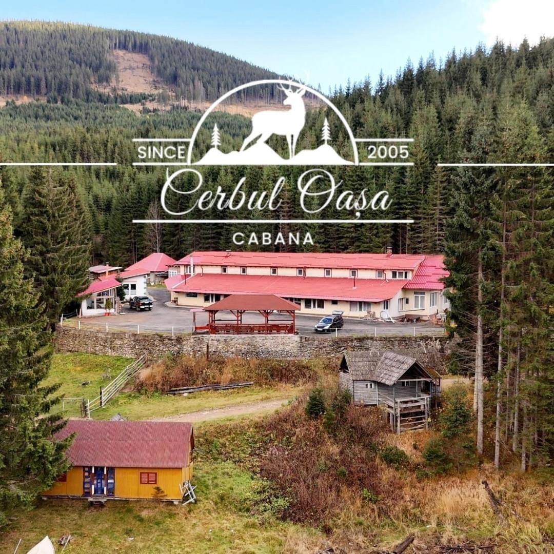 Cabana Cerbul-Oasa-Transalpina Ciban Exterior photo