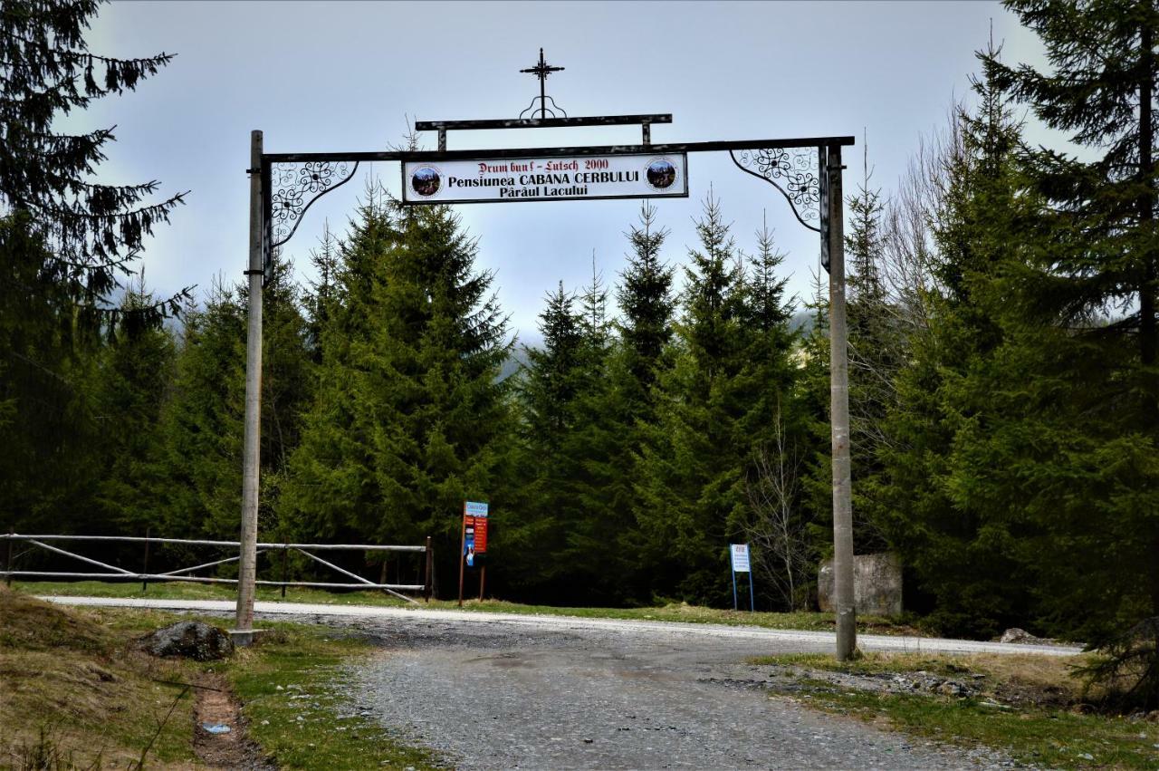 Cabana Cerbul-Oasa-Transalpina Ciban Exterior photo