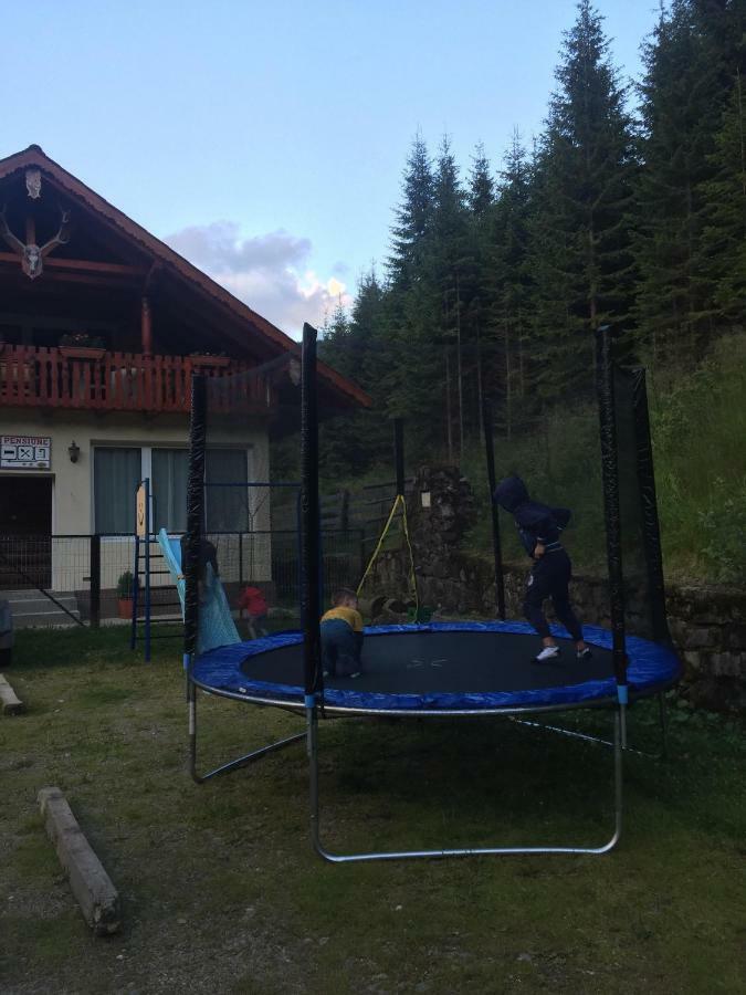 Cabana Cerbul-Oasa-Transalpina Ciban Exterior photo