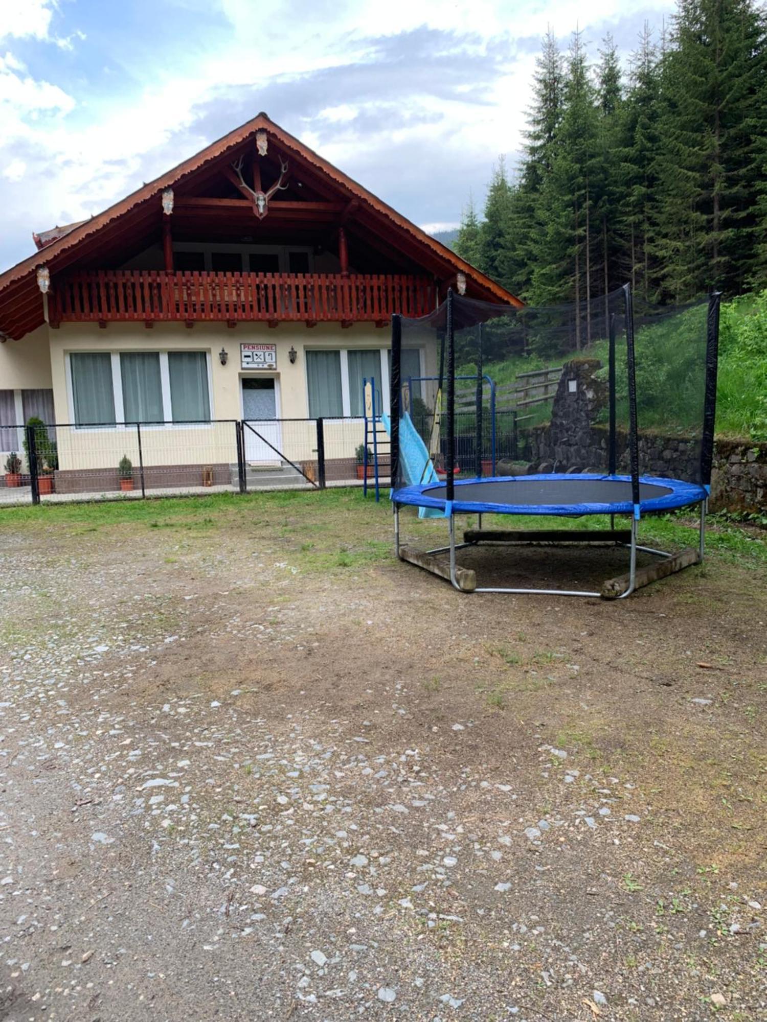 Cabana Cerbul-Oasa-Transalpina Ciban Exterior photo