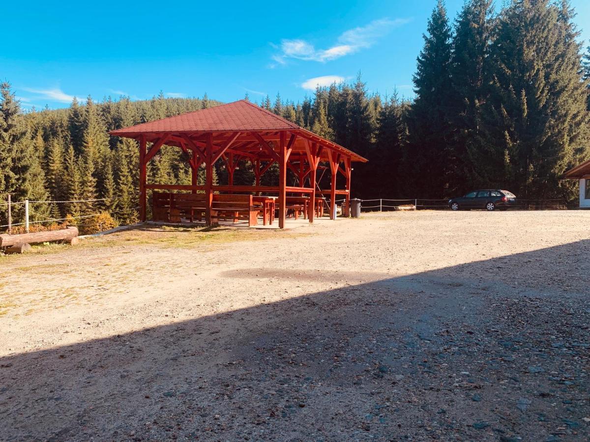 Cabana Cerbul-Oasa-Transalpina Ciban Exterior photo