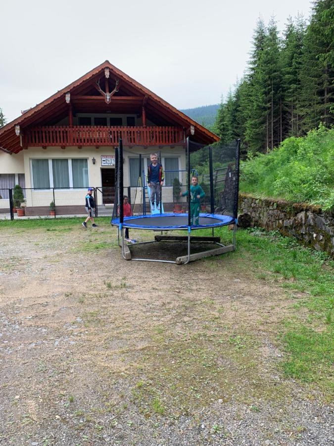 Cabana Cerbul-Oasa-Transalpina Ciban Exterior photo