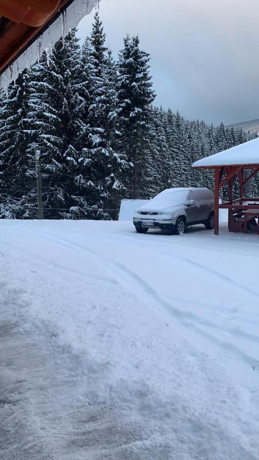 Cabana Cerbul-Oasa-Transalpina Ciban Exterior photo